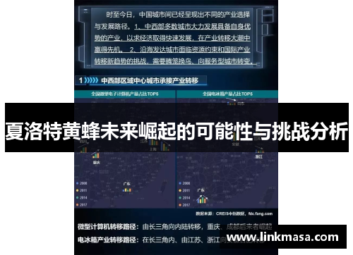 夏洛特黄蜂未来崛起的可能性与挑战分析