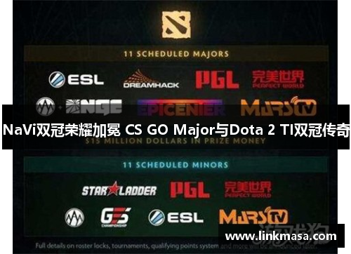 NaVi双冠荣耀加冕 CS GO Major与Dota 2 TI双冠传奇